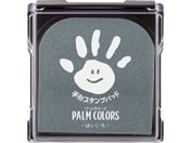 G)V`n^/`X^vpbh PALM COLORS ͂