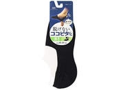 {/EȂRRs^ amjbg 󗚂 ubN 25-27cm
