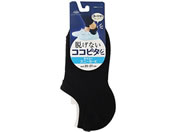 {/EȂRRs^ amXj[J[p݌v ubN 25-27cm