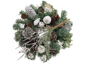 YDM  20cmmfBbN[X06 CBDTW-058