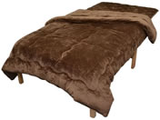 �t�@�~���[�E���C�t/�g���v���E�H�[���ѕz�z�c�Z�b�g �Z�~�_�u�� �u���E��/0459830