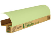 }AC }Xږ͑v EOCX 20 }-21WA