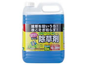 �g���`���[/���|�p�T���t�[�����t�� �� 500mL/#237833