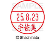 �V���`�n�^ �f�[�^�[�l�[��EX12���}�X�^�[������ �F���� XGL-12M-0348