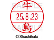 �V���`�n�^ �f�[�^�[�l�[��EX12���}�X�^�[�� ���� ����  XGL-12M-0377