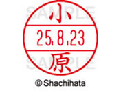 �V���`�n�^ �f�[�^�[�l�[��EX12���}�X�^�[�� ���� ����  XGL-12M-0581