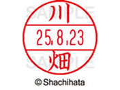 �V���`�n�^ �f�[�^�[�l�[��EX12���}�X�^�[�� ���� �씨  XGL-12M-0829