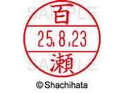 �V���`�n�^ �f�[�^�[�l�[��EX12���}�X�^�[������ �S��  XGL-12M-1921