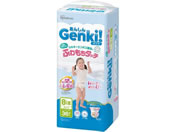 ACXI[}/Genki!ӂ^b` Big 36/GBP-BIG36