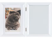 �i�J�o���V/��&�t�H�g�t���[�� 2�� 2L �z���C�g/F-TW-117-W