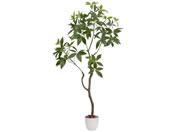 t@~[ECt G} CeAO[ pL 04571