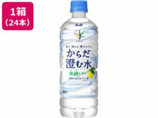 ATq  VR 炾ސ 600mL 24{