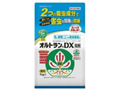 ZFw|/IgDX(ܓ) 1kg
