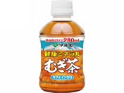訳アリ)伊藤園/健康ミネラルむぎ茶 280ml