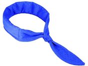 AION �T���R���N�[��NEO�X�J�[�t�^�C�v�u���[ TNS-001B