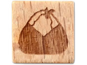 A[ebN/ؕX^v10 {H Vނ/74768