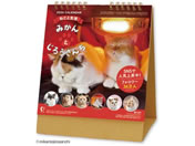 V{J_[/ ݂Ƃ낤/NK8527