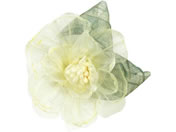 �A�[�e�b�N/�R�T�[�W�� ���[�X�t�����[ �C�G���[/118865