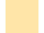 タカ印/包装紙 アイボリーサンド 半才判(530×770mm) 50枚