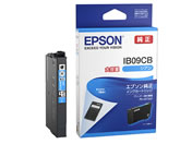 G)EPSON/CNJ[gbW VA e/IB09CB