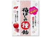 m[x ~ڂ̎툹 RpNgpbN 20g