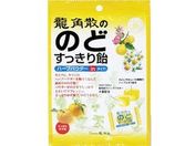 pU/pÛ̂ǂ船 ς䂸 80g