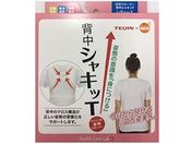 大木/オレンジケア 背中シャキッT レディースL-LLサイズ 1枚