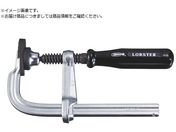 uebNX L^Nv uebNX Obvnh 100mm~99mm WS1010A
