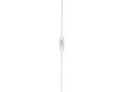 SIBATA/ホールピペット カスタムA 30mL 021410-30A