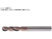 MOLDINO dR[eBOh dOHmXebv{[[ 03WHNSB0220-TH 03WHNSB0220-TH
