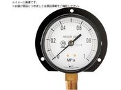 /ʈ͌v Bg^E100 ̓W0.0`2.5MPa R3/8 1030125