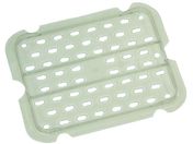 ERECTA/t[hp rgC R[hpp NA 127P2408