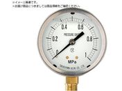 /OZ͌v Ag^E60 ̓W0.0`25MPa R1/4 1312225