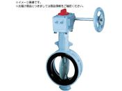 b/700G-2U JIS10K FCD450/SCS14/NBR 65A700G-2U-65-S-N