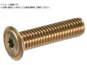 TRUSCO/ヘックスローブ超極低頭ねじ ステンレス ライトブロンズ M6×16 10本入B187-0616
