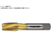 }/pʂ茊pXpC^bv F-SL P4 M22X2.5 F-SL-P4-M22X2.5