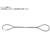 TAIYO/JIS玉掛ワイヤ 編込み O/O 9×2M 3291048 JTWR9X2