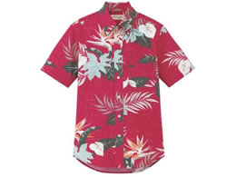 {}bNX AnVc([t) bh SS FB4518U-3-SS