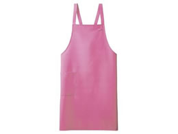 Zu Gv p sN SA001-12-F