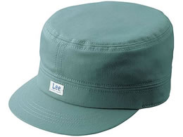 {}bNX Lee[NLbv O[ LCA99003-4-F