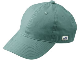 {}bNX Leex[X{[Lbv O[ LCA99004-4-F