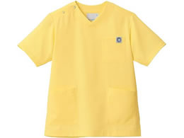 Zu XNu p  TCgCG[ S MS005-41