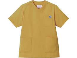 Zu XNu p  MRCG[ S MS005-42