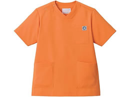 Zu XNu p  TZbgIW S MS005-43