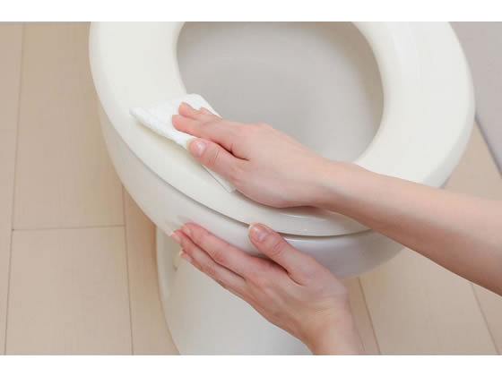 アイリスオーヤマ バブルパワー流せるトイレクリーナー10枚 2個 Bp Tc102が247円 ココデカウ アイリスオーヤマ バブルパワー流せるトイレクリーナー10枚 2個 Bp Tc102が247円 ココデカウ