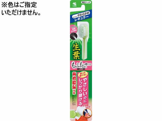 小林製薬 生葉 もふもふ磨けるブラシ レギュラー