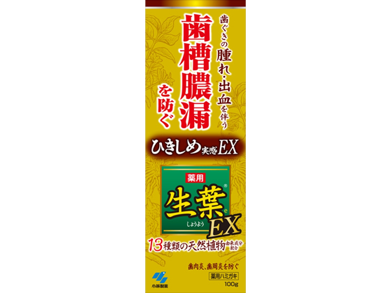 小林製薬 生葉EX100g
