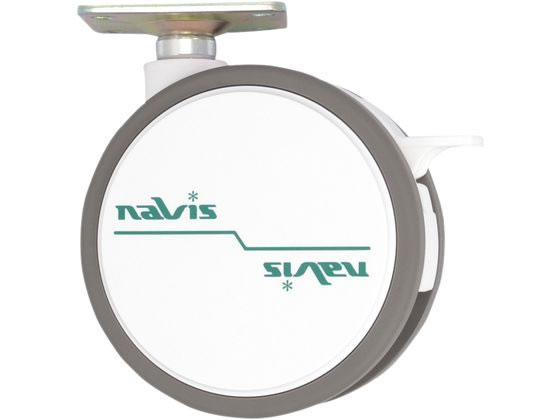 �i�r�X�L���X�^�[��100mm �v���[�g �X�g�b�p�[�t�� 0-4559-31-02