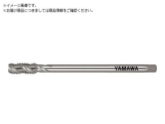 ●精度：Ｐ２●精度表記：Ｐ級●呼び寸法：Ｍ８●ピッチ（ｍｍ）：０．７５●ねじ長さ（ｍｍ）：１９●全長（ｍｍ）：１００●シャンク径（ｍｍ）：６．２●シャンク四角部（ｍｍ）：５●下穴径（ｍｍ）：７．３３●