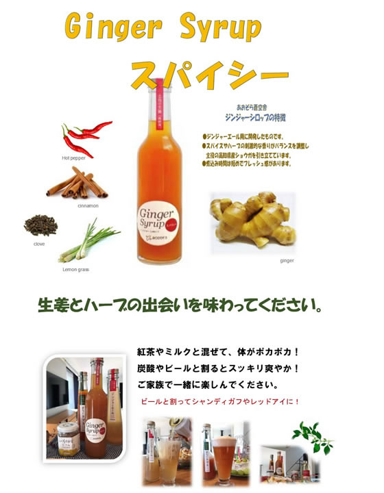 お年玉セール特価】 あおぞら蒼空舎 ジンジャーシロップスパイシー 300ml